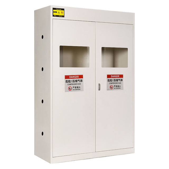 Cylindre à gaz Armoire de rangement de sécurité avec détecteur sensible Laboratoire Armoire en acier Cylindres de gaz